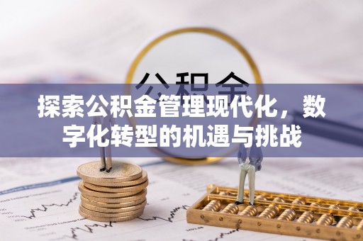 北海探索公积金管理现代化，数字化转型的机遇与挑战