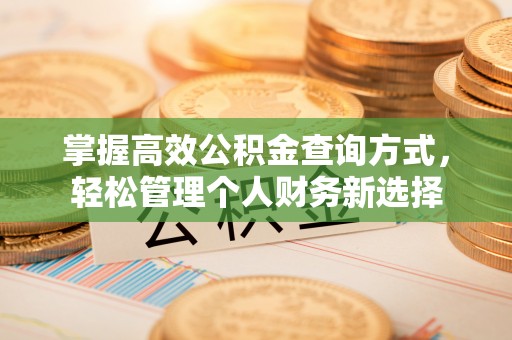 北海掌握高效公积金查询方式，轻松管理个人财务新选择